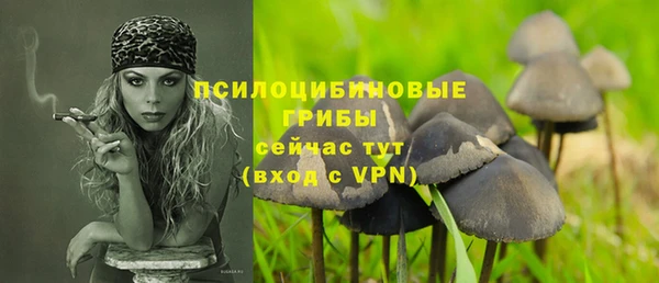 альфа пвп Новокубанск