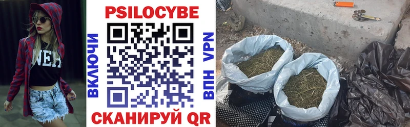 закладка  Мамадыш  Псилоцибиновые грибы GOLDEN TEACHER 